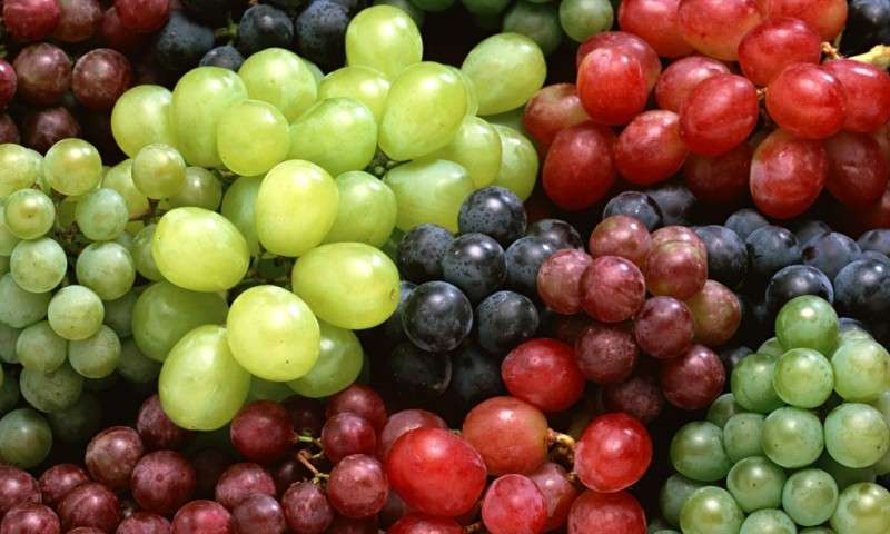 "انگور" تولید ایران صادر شد