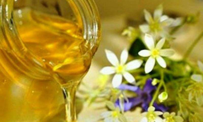 نمونه عسل های طبیعی و درمانی+عکس