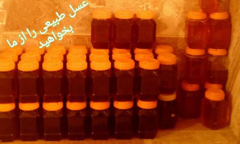 عسل های طبیعی و درمانی ایرانی بخرید+عکس