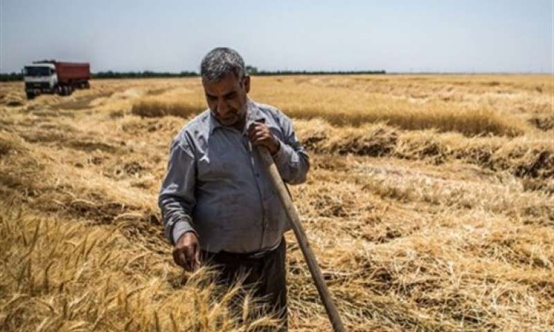 تیر خلاص دولت به کشاورزان ایرانی!