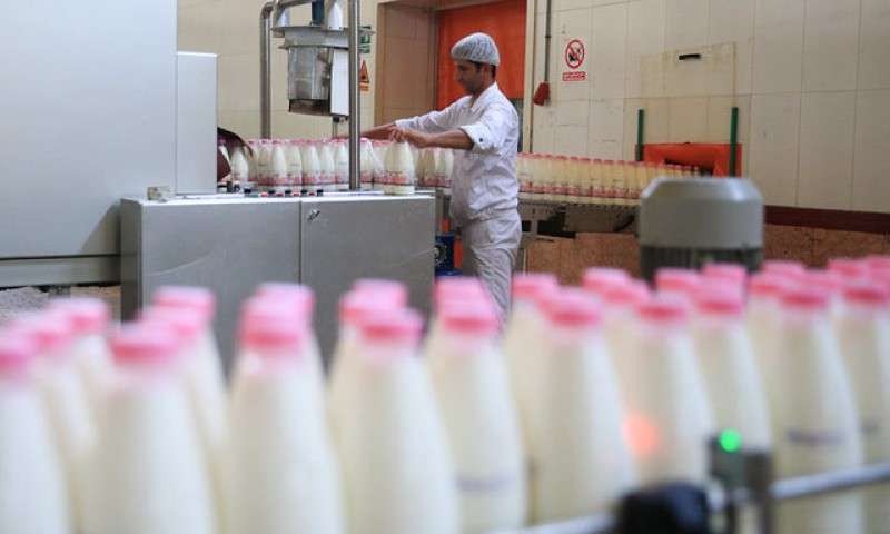 قیمت جدید شیر به زودی‌ تعیین می‌شود+عکس