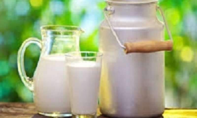 زنگ خطر تولید شیر در کشور به صدا در آمد