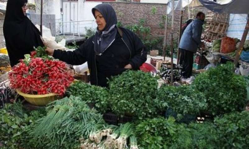 رونق تولید سبزی خوردن در ماه رمضان