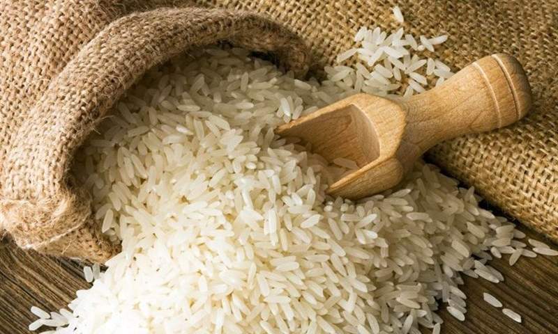 واردات بی رویه برنج به کشور!
