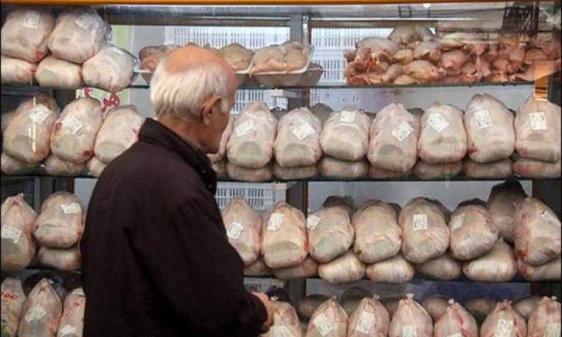 افزایش قیمت مرغ در بازار