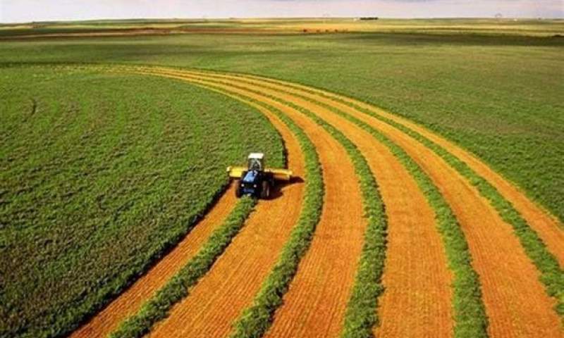 تودهنی کشاورزی ایران به تحریم‌های آمریکا