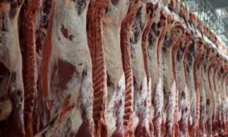 ظرفیت تولید سه میلیون تن گوشت سفید در کشور