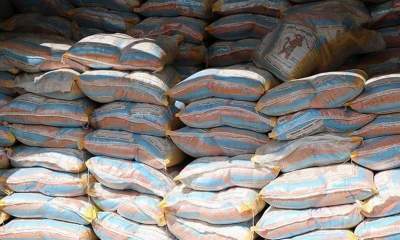 ۹۰۰ هزار تن برنج با ارز دولتی وارد کشور شد +عکس