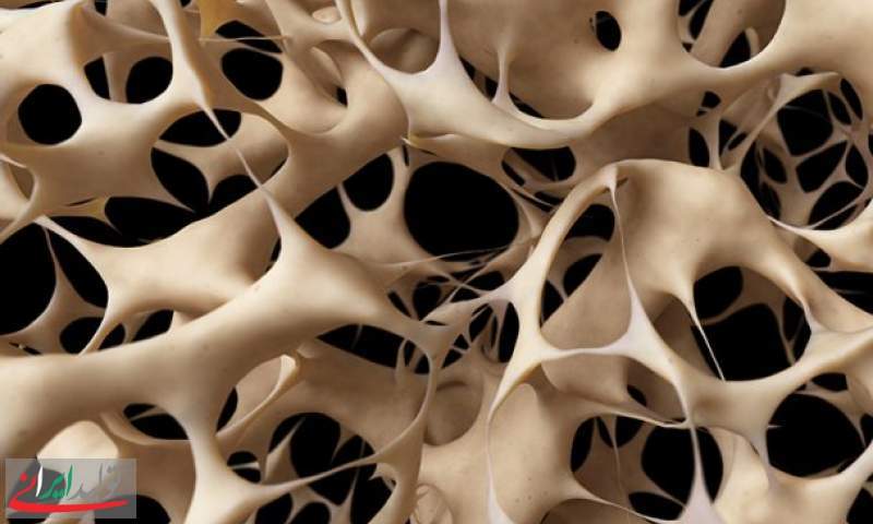 تولید نانوداربست‌های استخوانی هیدروژلی با فناوری نانو+عکس