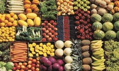 باغدار نمونه: میوه را 3 تا 10 برابر نرخی که از ما می‌خرند می‌فروشند/ بازار دست دلالان است+عکس