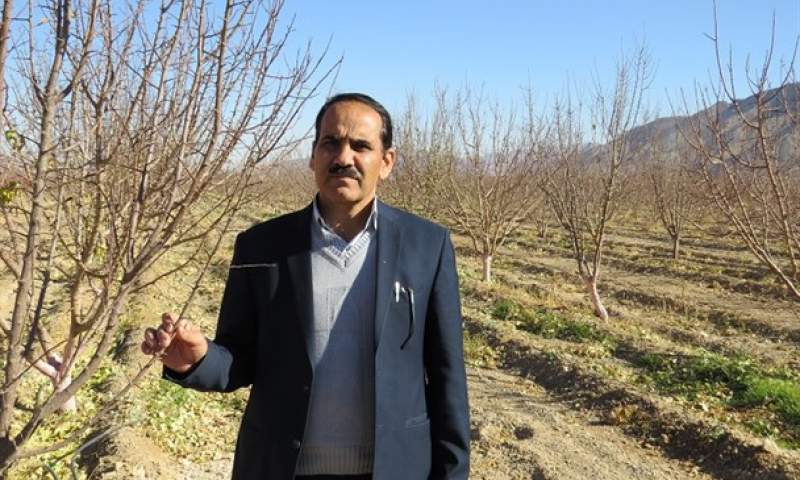 ارز آوری ۵۰۰ میلیون دلاری صادرات صیفی‌جات استان یزد