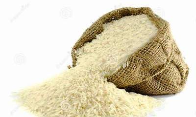 واردات برنج تا اطلاع ثانویه ممنوع است/ پیش بینی تولید داخلی ۸۰ درصدی برنج