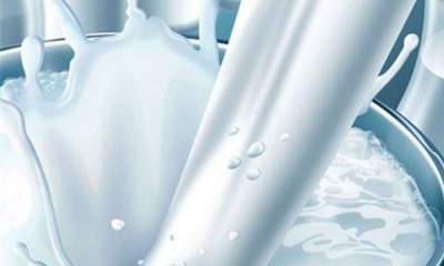 کاهش تولید شیر خام صحت ندارد/ وجود ظرفیت تولید 150 هزارتن شیرخشک در کشور