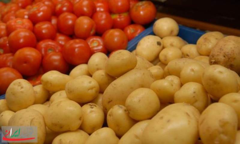 دوئل مسئولان بر سر دلایل افزایش قیمت سیب زمینی و گوجه فرنگی