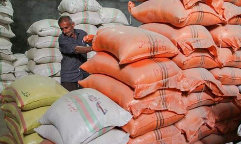 ۴ دلیل رشد ۴۵ درصدی قیمت برنج خارجی