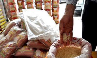 واردات برنج به نام اقشار آسیب پذیر به کام رانتی ها!