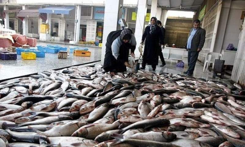 بازار ماهی کیش به بهره‌برداری رسید