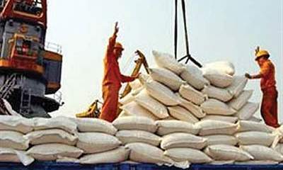 واردات برنج از هفته آینده آغاز می‌شود