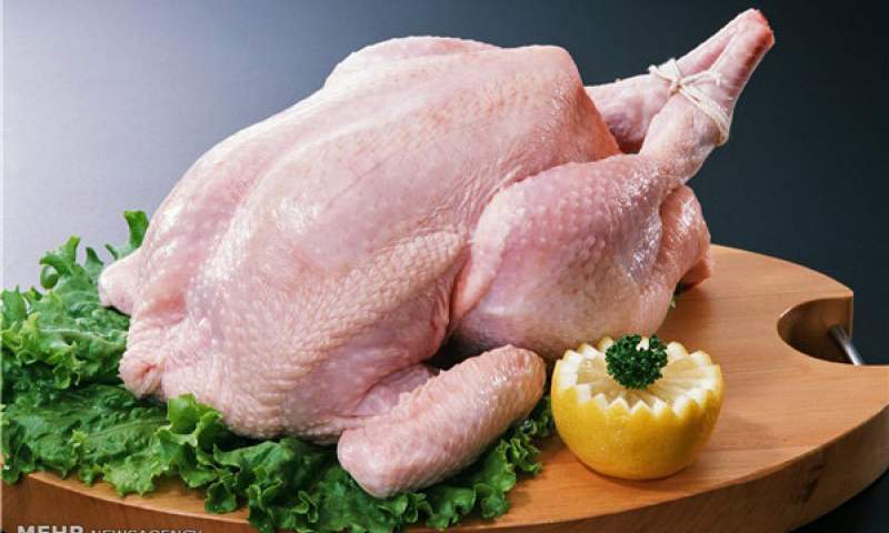 ادامه روند صعودی نرخ مرغ در بازار