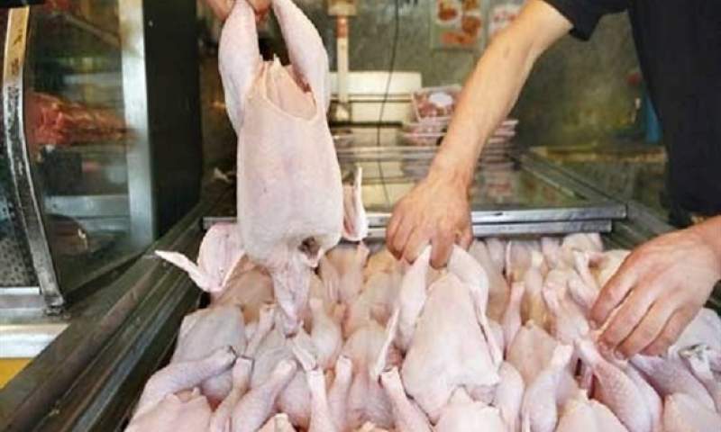 بازار مرغ ترمز برید/ مرغ کیلویی ۱۳۵۰۰ تومان
