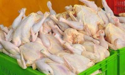 توزیع مرغ منجمد ۸ هزار و ۹۰۰ تومانی از فردا
