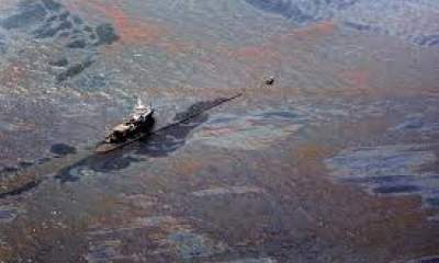 بالا بودن ریسک آلودگی نفتی در حوزه خلیج فارس