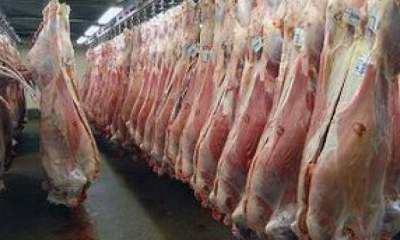 صدور مجوز واردات برای کاهش قیمت گوشت