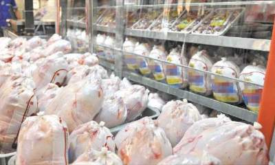 عرضه مرغ آماده طبخ به قیمت 13 هزار و 850 در بازار خرده فروشی