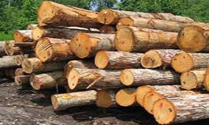 چرا نرخ چوب افزایش پیدا کرده است؟