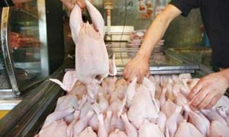 دلیل اصلی گران شدن مرغ چیست؟