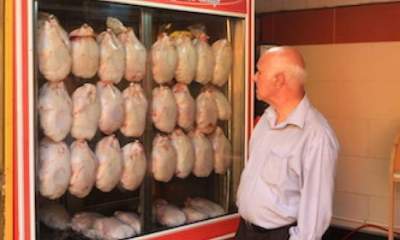 فروش مرغ گران‌تر از ۱۰ هزار تومان تخلف است