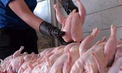 واردات گوشت جهت کنترل قیمت در بازار افزایش یافت