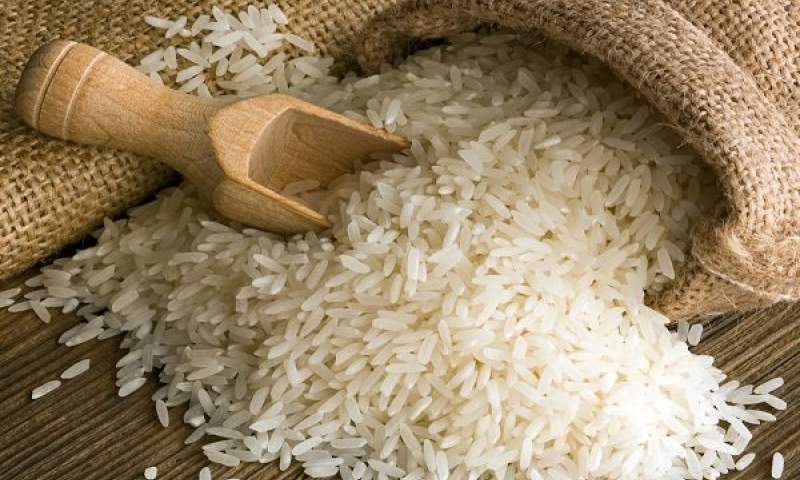 واردات یک میلیون و ۱۱۶ هزار تن برنج به کشور