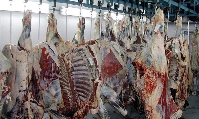روزانه ۱۵۰ تن گوشت قرمز وارد کشور می‌شود