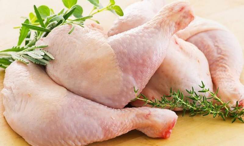 افزایش تولید مرغ در کشور