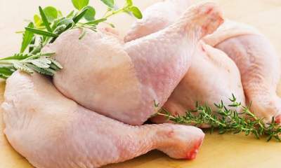 افزایش تولید مرغ در کشور