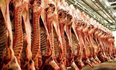 رئیس گمرک: ۷۰۰ کانتینر گوشت در گمرک داریم