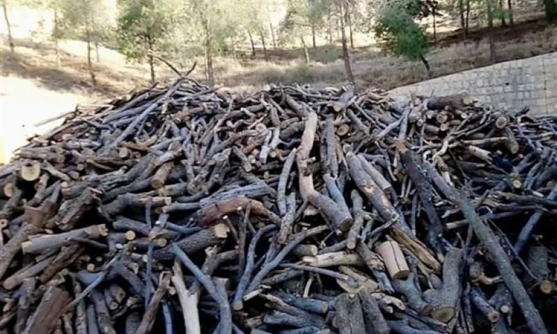 کشف ۱۰تن چوب جنگلی قاچاق در شهرستان لردگان