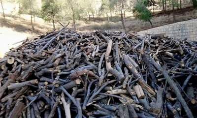 کشف ۱۰تن چوب جنگلی قاچاق در شهرستان لردگان
