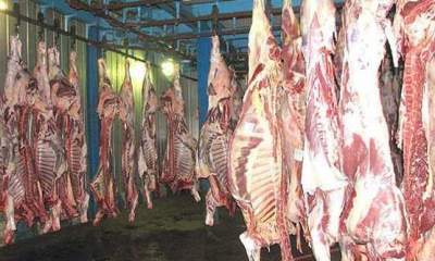 مصرف گوشت یک میلیون تن؛ قاچاق 10 هزار تن