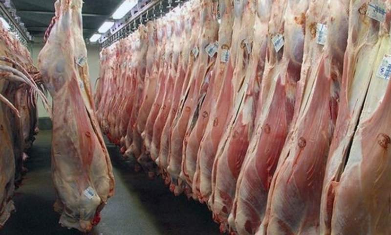اسکورت گوشت وارداتی تا فروشگاه‌ها
