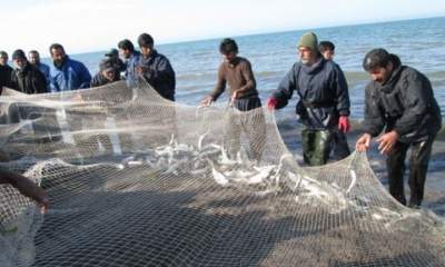 صید ماهی در دریای خزر آغاز شد