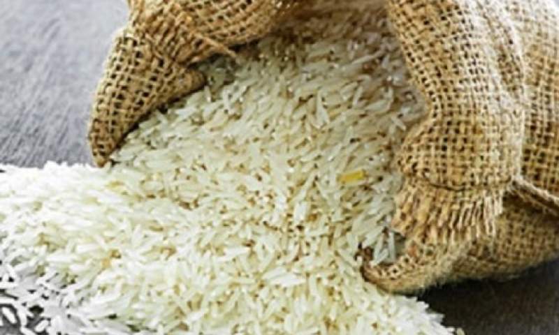 نیازی به واردات برنج نداریم/حداکثر قیمت هر کیلو برنج در شمال ۱۴ هزار تومان