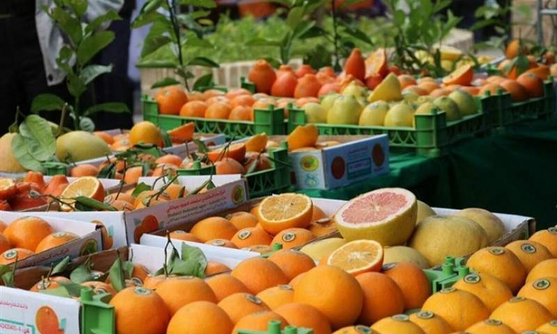 افزایش ۳۳ درصدی عرضه میوه در ۱۵۰۰ مرکز فروش برای تنظیم بازار شب عید