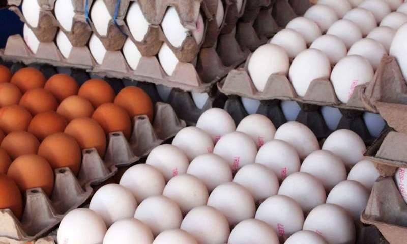 کاهش قیمت تخم‌مرغ در بازار