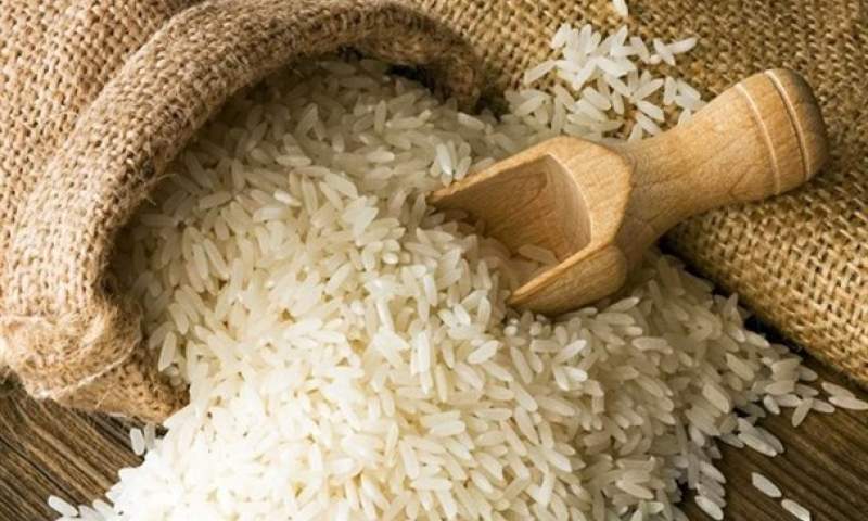 تأثیر سیل بر میزان تولید گندم و برنج چقدر است؟