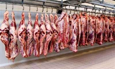 گوشت ارزانی که فقط در سازمان حمایت پیدا می‌شود