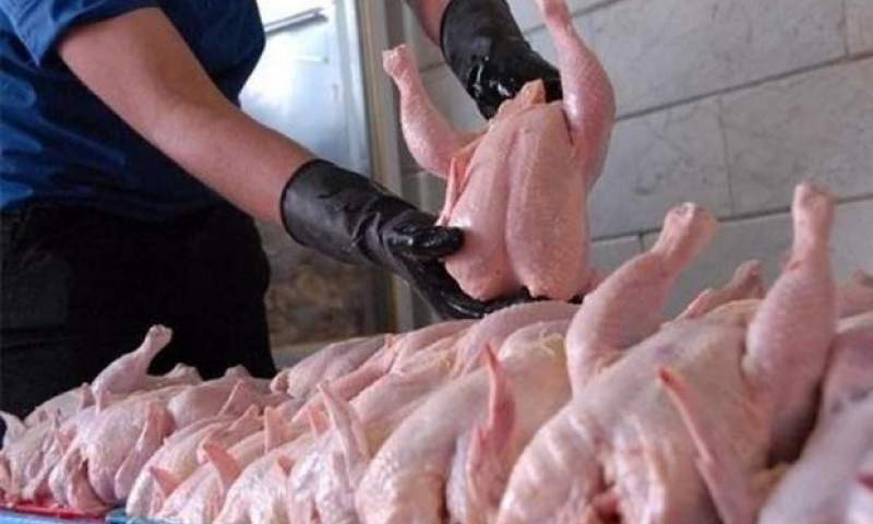 قیمت مرغ همچنان در کانال ۱۱ هزار تومان