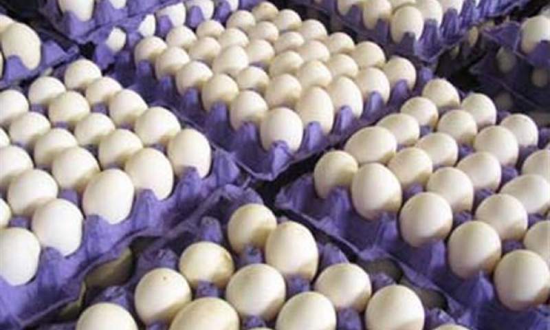 آزاد سازی صادرات تخم مرغ دردی را دوا نکرد/ قیمت تخم مرغ در ماه رمضان کاهش می یابد