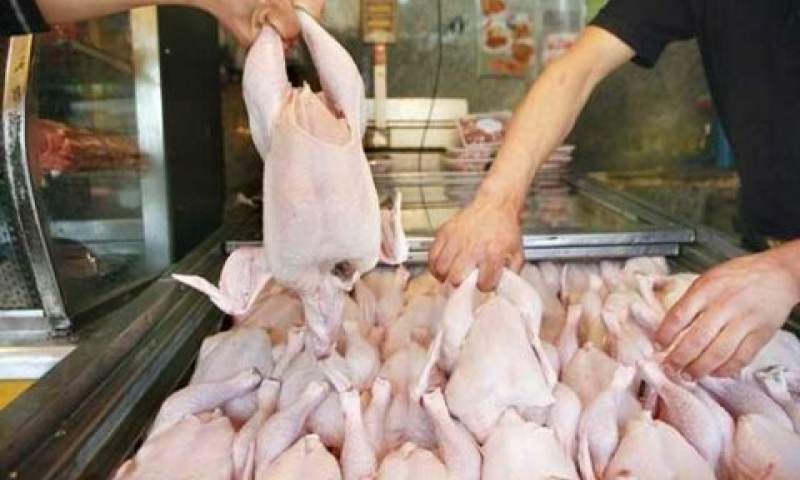 قیمت مرغ ۲۰ خرداد تعیین تکلیف می‌شود